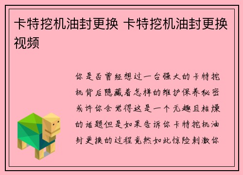 卡特挖机油封更换 卡特挖机油封更换视频